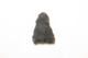 FileNo.1021_0058-11.jpg