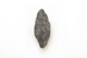 FileNo.1021_0058-15.jpg