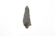 FileNo.1021_0058-9.jpg