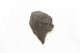 FileNo.1021_0059-11.jpg