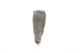 FileNo.1021_0059-3.jpg