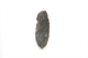 FileNo.1021_0059-4.jpg