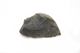 FileNo.1021_0060-3.jpg