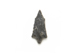 FileNo.1021_0061-3.jpg