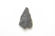 FileNo.1021_0061-4.jpg