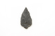 FileNo.1021_0061-6.jpg