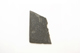 FileNo.1021_0065-4.jpg