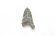FileNo.1021_0066-1.jpg