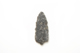 FileNo.1021_0066-5.jpg