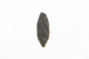 FileNo.1021_0068-10.jpg
