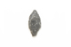FileNo.1021_0068-3.jpg