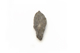 FileNo.1021_0069-5.jpg