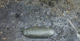 FileNo.154-020.jpg