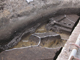 FileNo.154-035.jpg