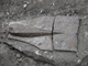 FileNo.154-045.jpg