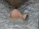 FileNo.154-046.jpg