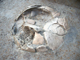 FileNo.154-047.jpg