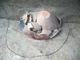FileNo.154-048.jpg