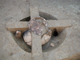 FileNo.154-050.jpg