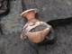 FileNo.154-052.jpg