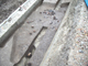 FileNo.154-053.jpg