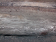 FileNo.154-062.jpg