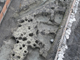 FileNo.154-073.jpg