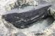 FileNo.154-081.jpg