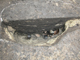 FileNo.154-083.jpg