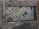 FileNo.154-087.jpg