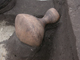 FileNo.154-088.jpg