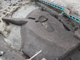 FileNo.154-096.jpg