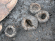 FileNo.154-099.jpg