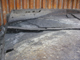 FileNo.154-116.jpg