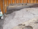 FileNo.154-121.jpg