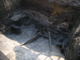 FileNo.154-133.jpg
