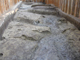 FileNo.154-139.jpg