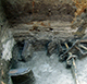 FileNo.dtp154002.jpg