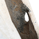 FileNo.dtp154007.jpg