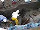 FileNo.dtp154021.jpg