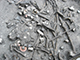 FileNo.dtp154022.jpg