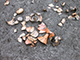 FileNo.dtp154024.jpg