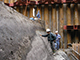 FileNo.dtp154036.jpg