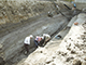 FileNo.dtp154039.jpg