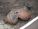 FileNo.dtp154046.jpg