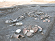 FileNo.dtp154047.jpg