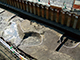 FileNo.dtp154054.jpg