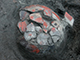 FileNo.dtp154060.jpg