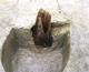 FileNo.159-013.jpg