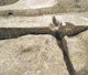 FileNo.159-027.jpg